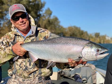 sacramento river fishing reports|Current Fishing Reports .